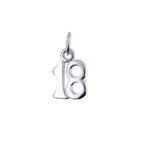 Sterling Silver Eighteenth Necklace