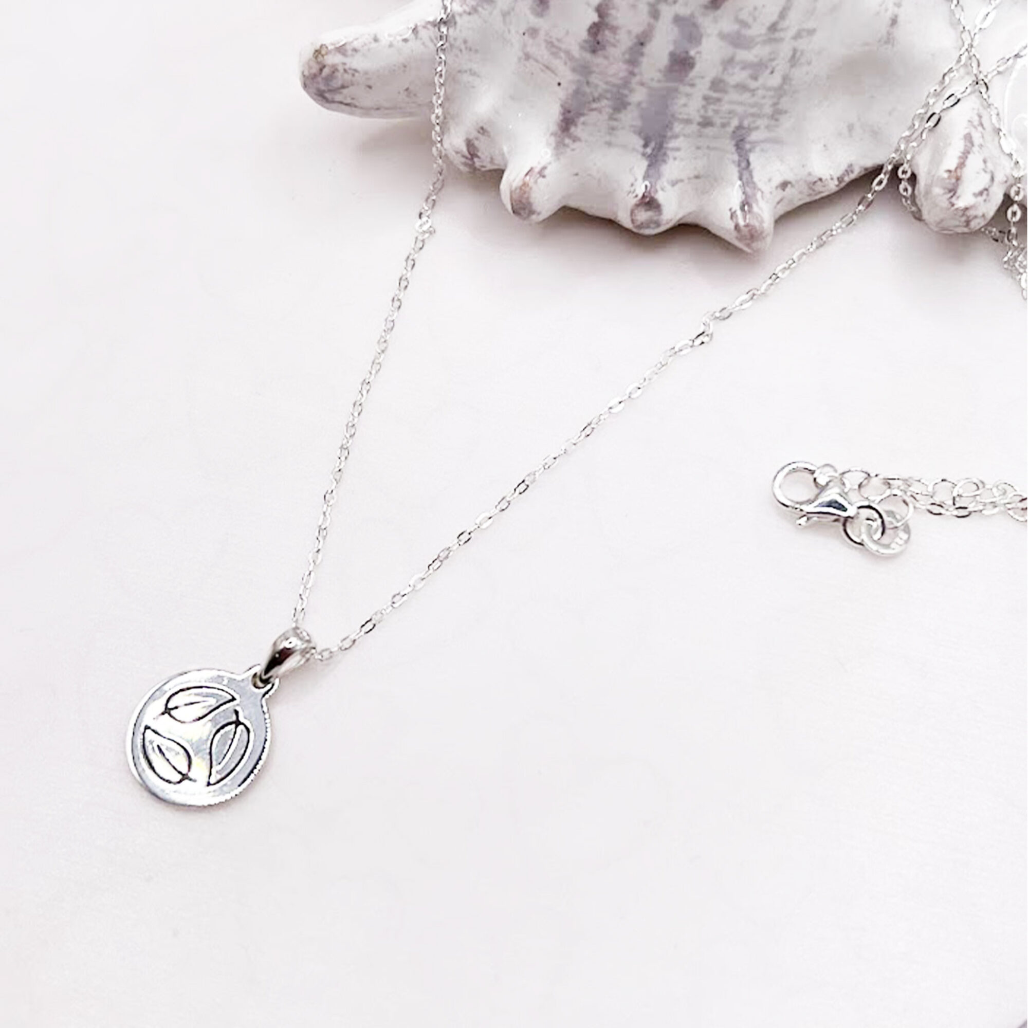 Sterling Silver Environment Necklace