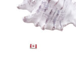 Canada Flag Floating Charm
