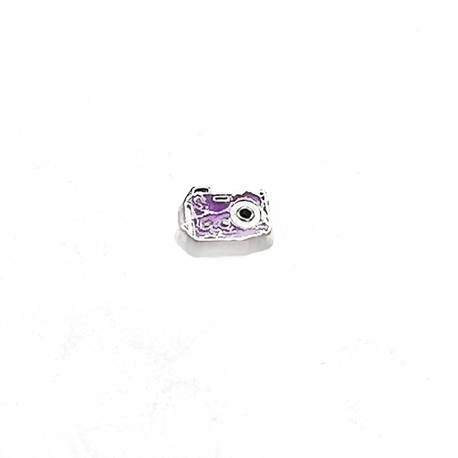 Camera Floating Charms