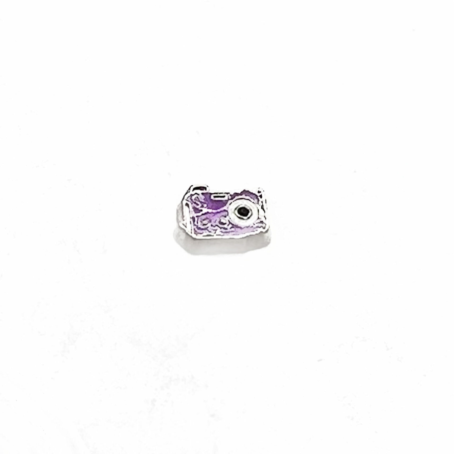 Camera Floating Charms