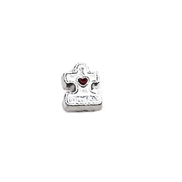Puzzle Floating Charm