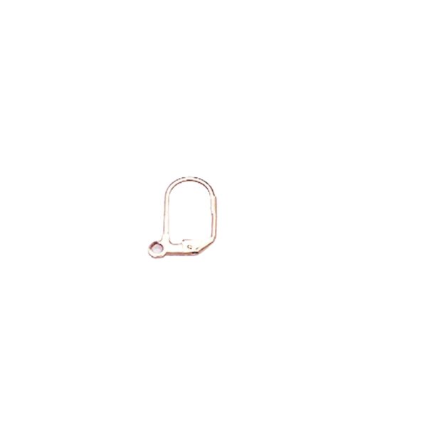 Earring Hooks and Huggies