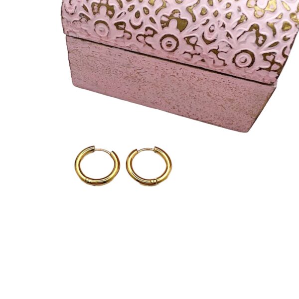 Huggie Earring Hoops