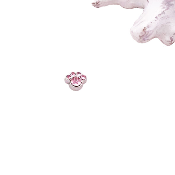 Paw Floating Charms