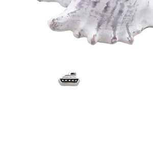 Cruise Ship Floating Charm