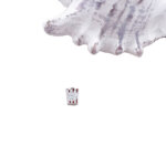 Popcorn Floating Charm
