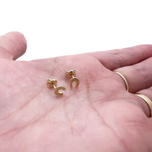 Horseshoe Earrings