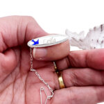 Bluebird Baby Brooch Oval