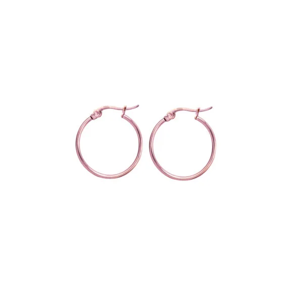 Surgical Earring Hoops