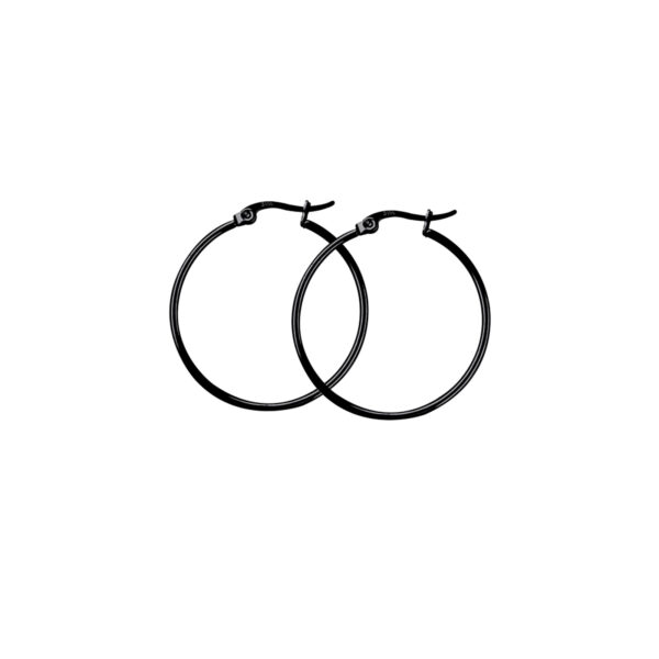 Surgical Earring Hoops