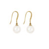 Freshwater Pearl Earrings
