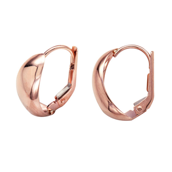 Continental Clip Earrings