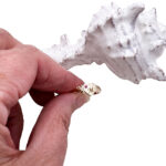 9ct Gold Birthstone Signet Ring