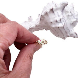 9ct gold Birthstone Signet Ring