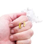 Enamel Seahorse Earrings