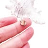 Pokémon Charmeleon Floating Charm