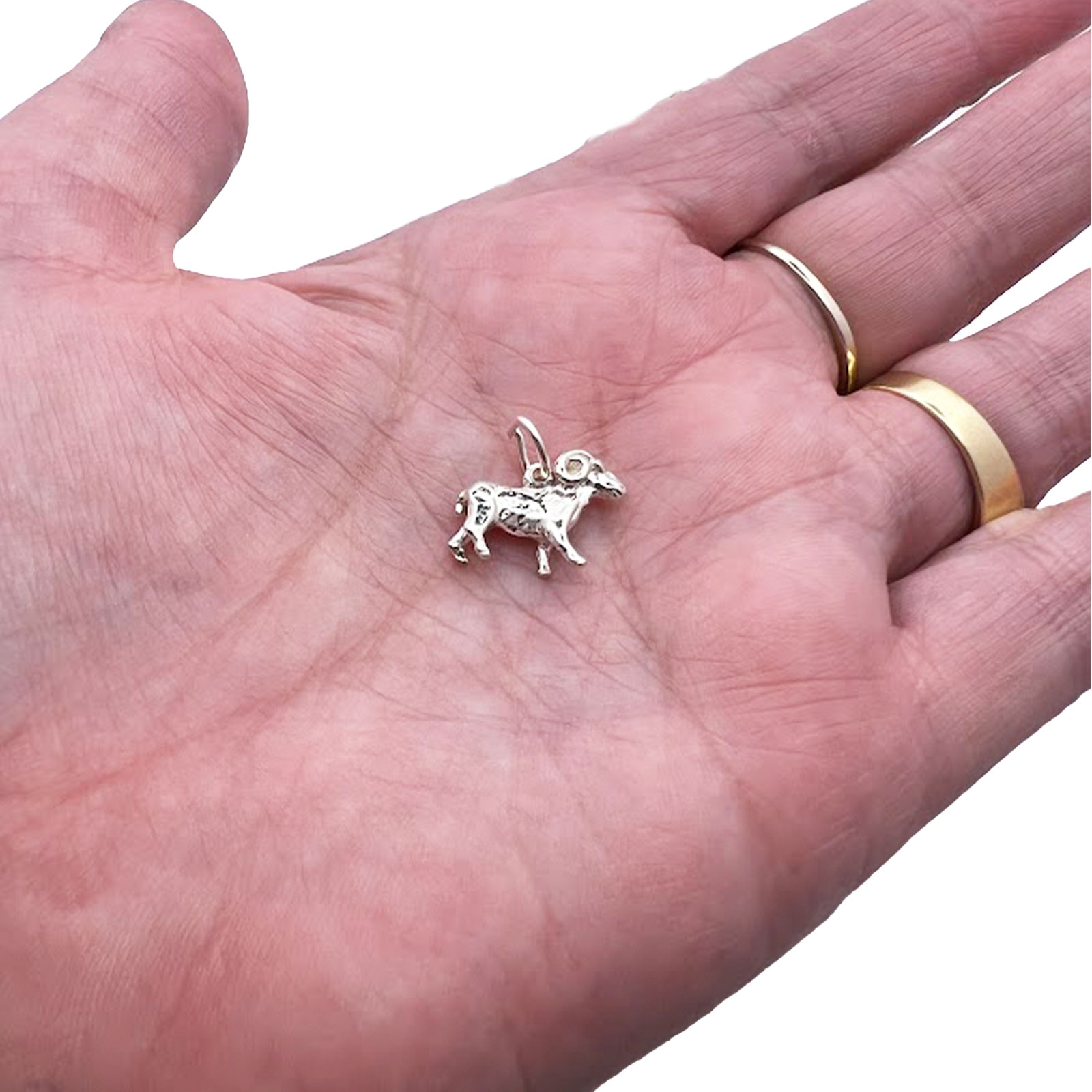 Sterling Silver Aries Zodiac Charm 1 Aries Zodiac Charm