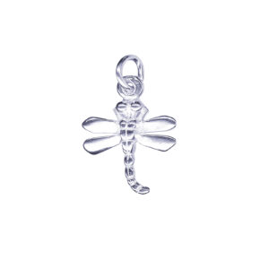 Dragonfly Charm