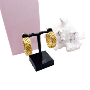 Mesh Chain Earrings