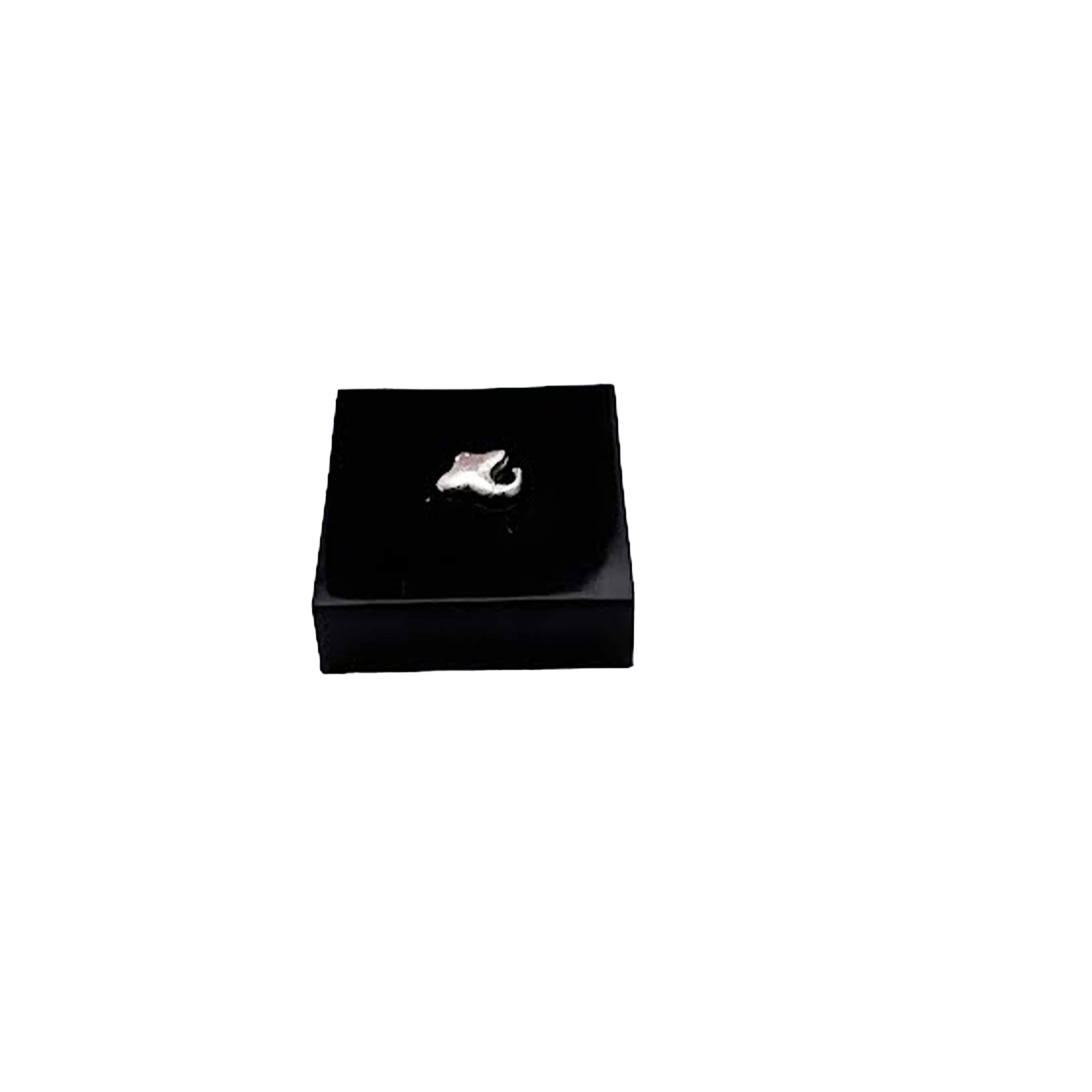 Bat Fish Floating Charm