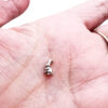 Bunny Floating Charm