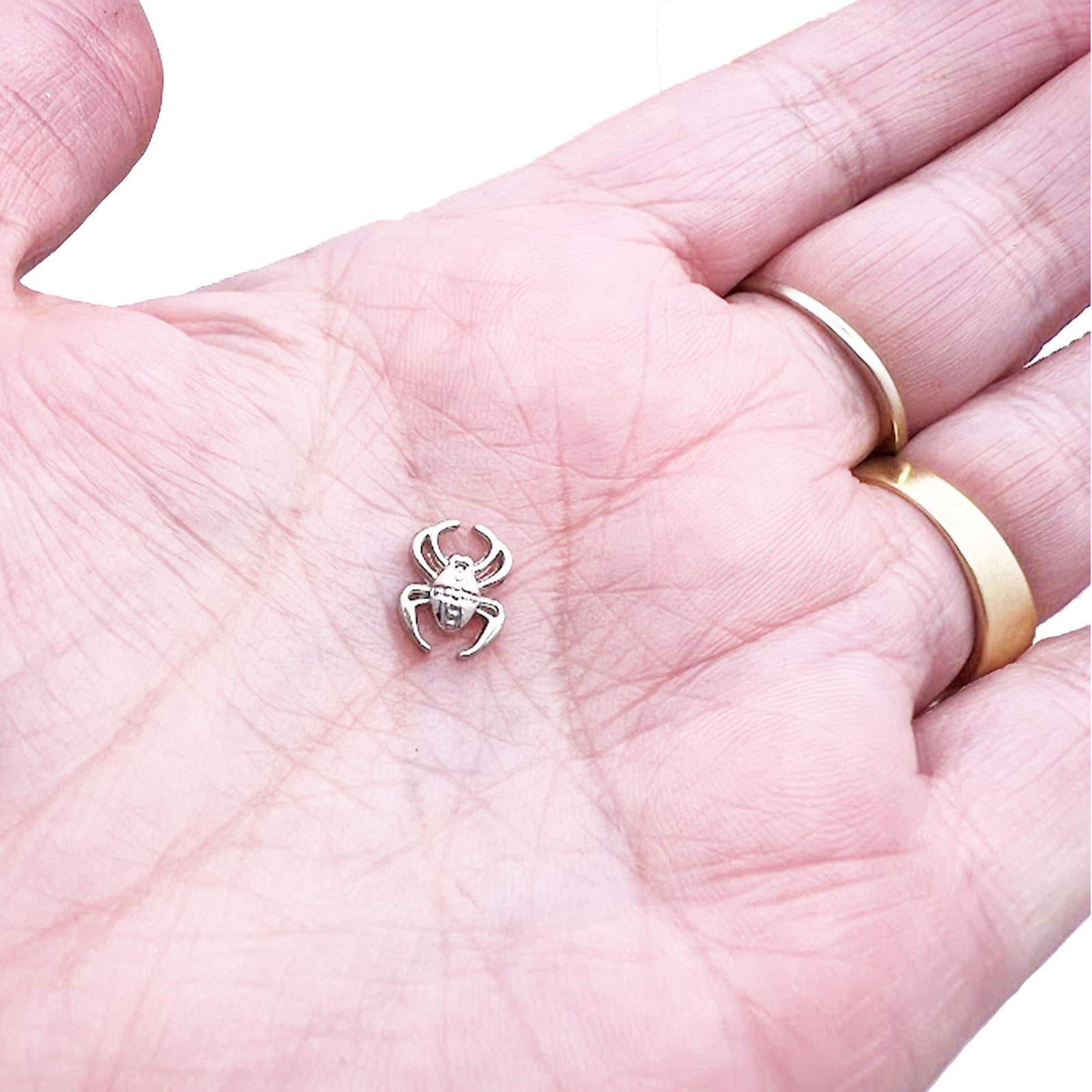 Spider Floating Charm