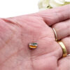 Sushi Floating Charm