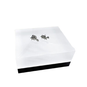 Silver Star Stud Earrings