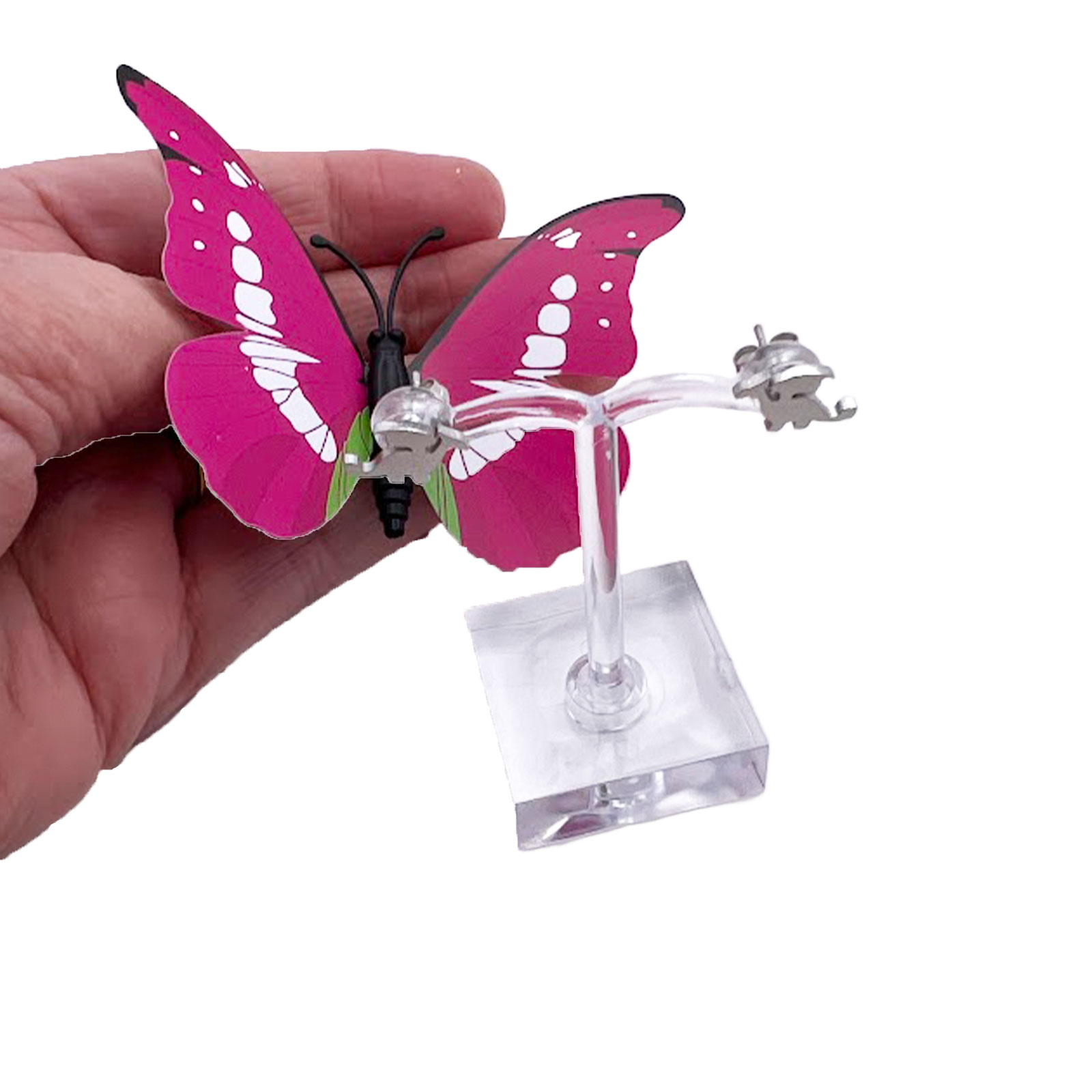 Dragon Stud Earrings